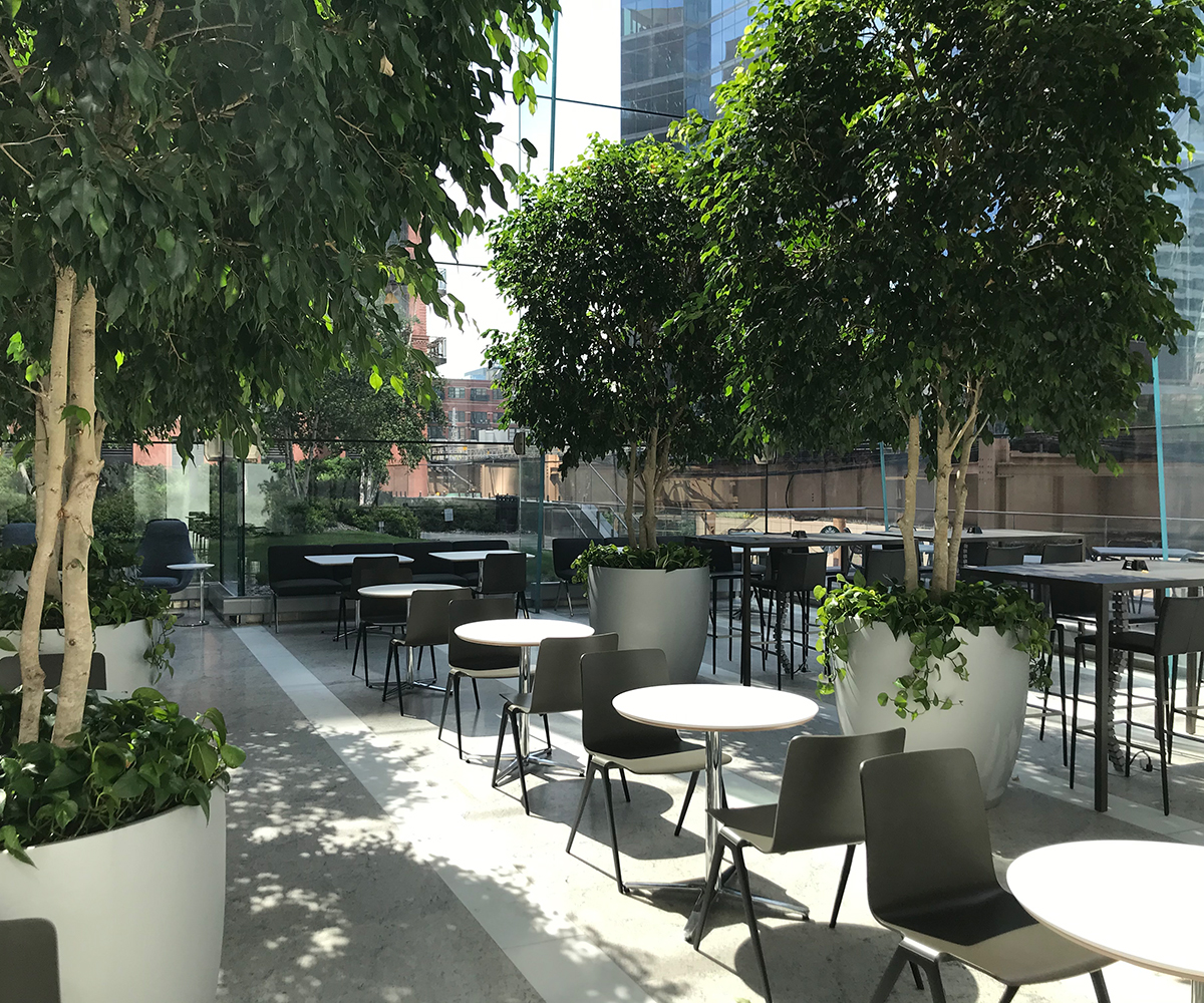 150 Riverside mezzanine with decorative plants